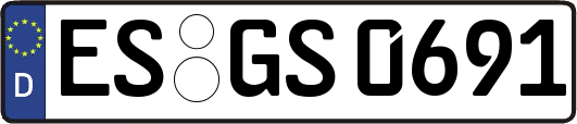 ES-GS0691