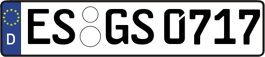 ES-GS0717