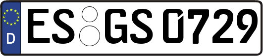 ES-GS0729