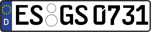 ES-GS0731