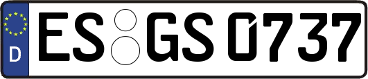 ES-GS0737