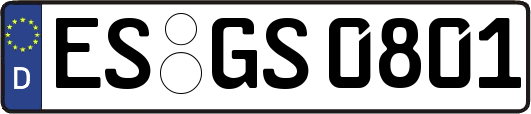 ES-GS0801