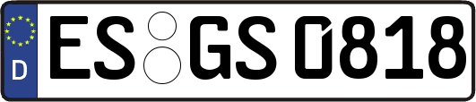 ES-GS0818