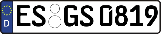 ES-GS0819