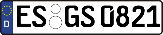 ES-GS0821