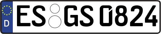 ES-GS0824