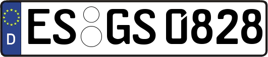 ES-GS0828