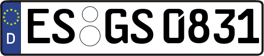 ES-GS0831