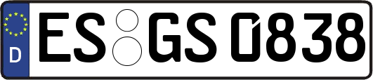 ES-GS0838
