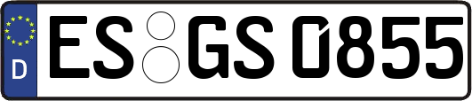ES-GS0855