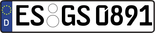 ES-GS0891