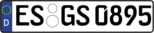 ES-GS0895