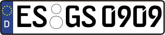 ES-GS0909