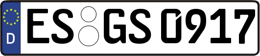ES-GS0917