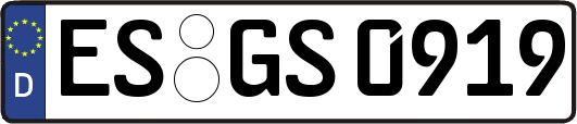 ES-GS0919