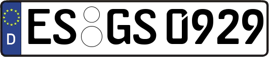 ES-GS0929