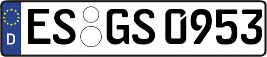 ES-GS0953
