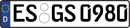 ES-GS0980