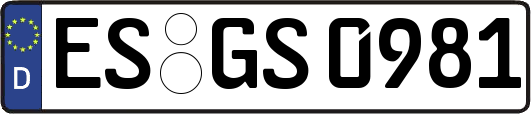 ES-GS0981