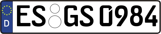 ES-GS0984