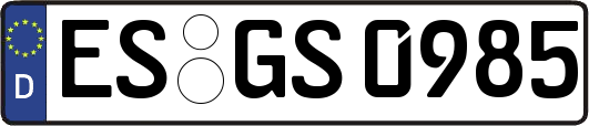 ES-GS0985