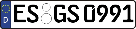 ES-GS0991