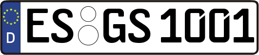 ES-GS1001