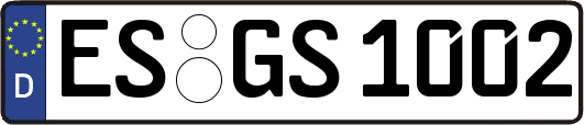 ES-GS1002