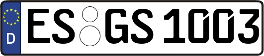 ES-GS1003