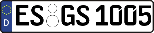 ES-GS1005