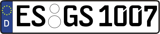 ES-GS1007