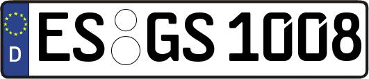 ES-GS1008