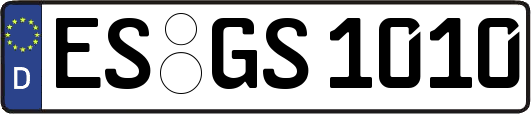 ES-GS1010