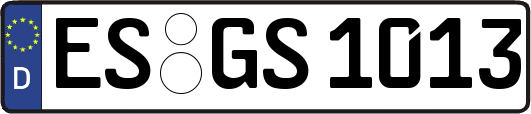 ES-GS1013