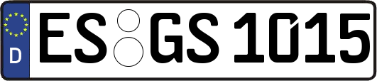 ES-GS1015