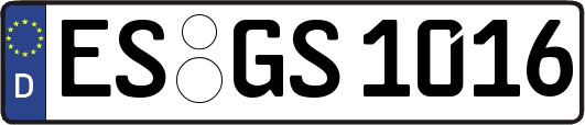 ES-GS1016