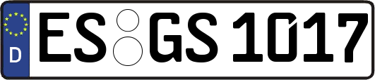 ES-GS1017
