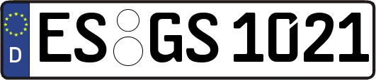 ES-GS1021