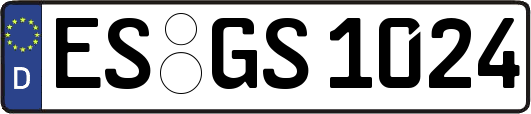 ES-GS1024