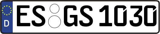 ES-GS1030