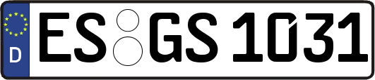 ES-GS1031