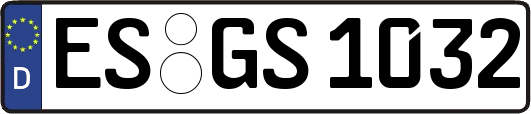 ES-GS1032