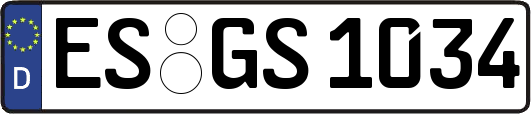 ES-GS1034