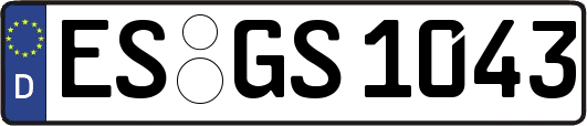 ES-GS1043