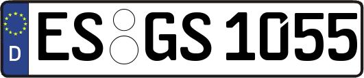 ES-GS1055
