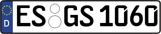 ES-GS1060