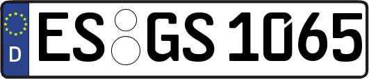 ES-GS1065