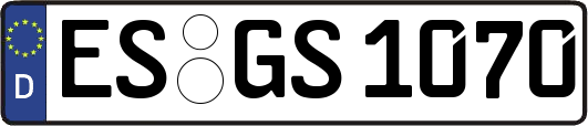 ES-GS1070
