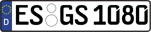 ES-GS1080