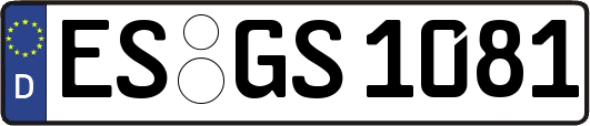 ES-GS1081